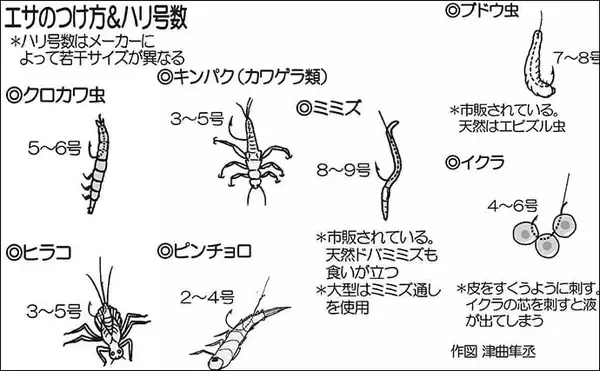 「ヤマメ狙いの渓流釣り攻略　【のべ竿エサ釣りでの釣り方を徹底解説】」の画像