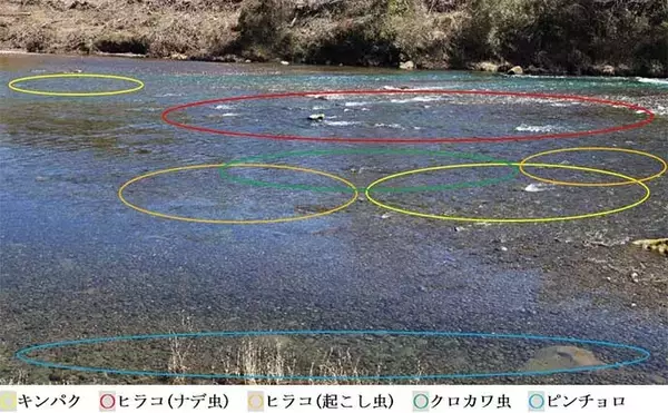 「ヤマメ狙いの渓流釣り攻略　【のべ竿エサ釣りでの釣り方を徹底解説】」の画像