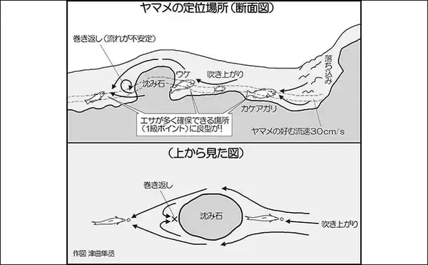 「ヤマメ狙いの渓流釣り攻略　【のべ竿エサ釣りでの釣り方を徹底解説】」の画像