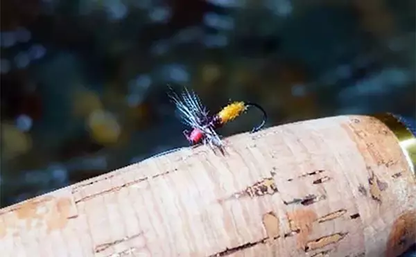 「ヤマメ狙いの渓流釣り攻略　【のべ竿エサ釣りでの釣り方を徹底解説】」の画像