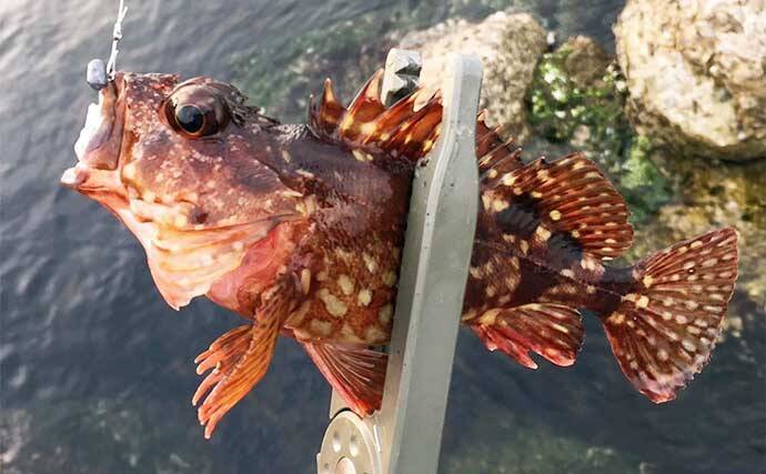 夏の日中ライトゲームの【エサ取り&根がかり対策】マイクロメタルジグが有効？