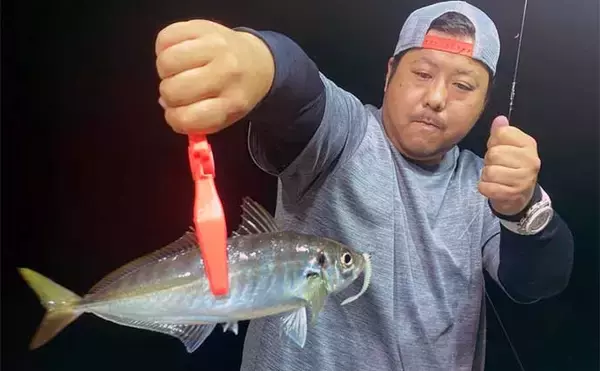 「【沖釣り釣果速報】タイラバで82.5cm筆頭に70cm超えマダイ連打！（福井）」の画像