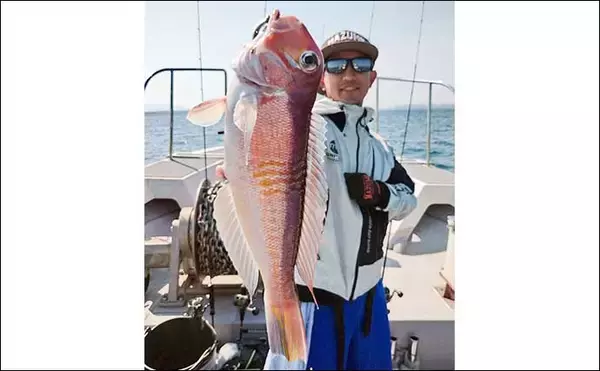 「【沖釣り釣果速報】タイラバで82.5cm筆頭に70cm超えマダイ連打！（福井）」の画像