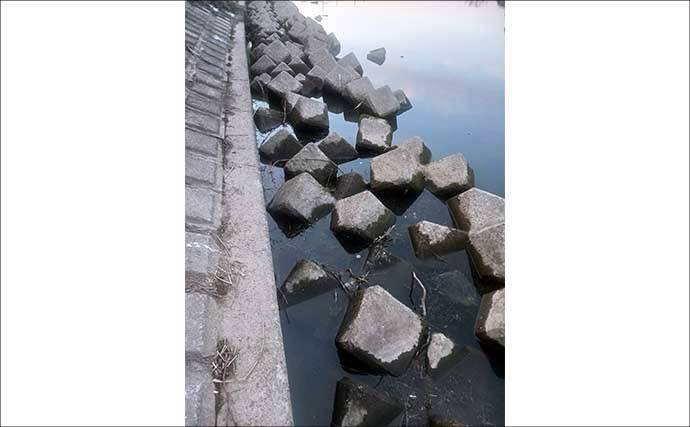 真冬の釣り場選びは「流れ・水深・水温」に注目　淡水小物釣りで入れ食いを堪能！