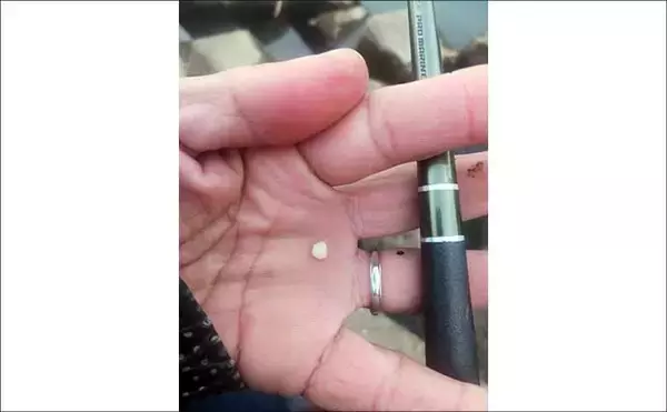 「真冬の釣り場選びは「流れ・水深・水温」に注目　淡水小物釣りで入れ食いを堪能！」の画像