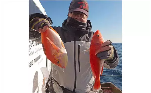 「船のアカイサキ釣りで28～30cmダブル達成【福岡・沖ノ島沖】ゲストにチカメキントキ＆タカバも」の画像