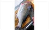 「釣った魚で作る「寒い日の定番」レシピ：キビレと白菜の酒蒸し風」の画像2