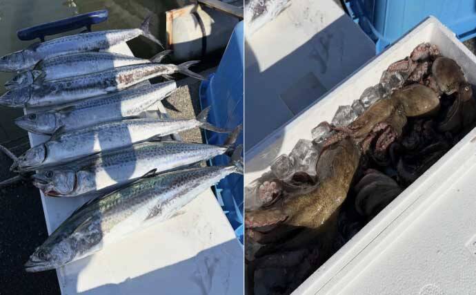 金洲五目釣りでメダイにウメイロにヒメダイ【船釣最新情報12選・愛知／静岡】