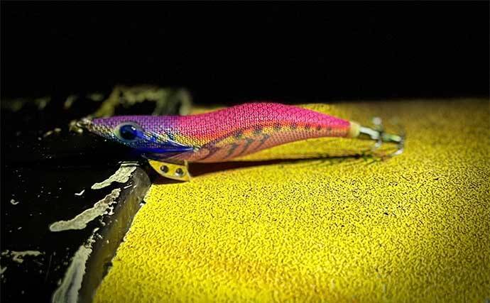 アオリイカエギングにおける【コントラストカラーの使い所と活用法】