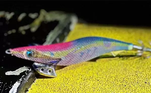 「アオリイカエギングにおける【コントラストカラーの使い所と活用法】」の画像