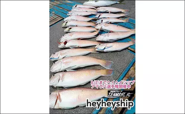 「関西エリアの【船釣り特選釣果】 明石エリアのエギタコ釣りでマダコ好調ヒット中」の画像