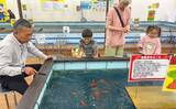 「釣り堀・遊でキンギョ釣りを満喫【愛知】3人の子どもが次々ヒットで大喜び」の画像4