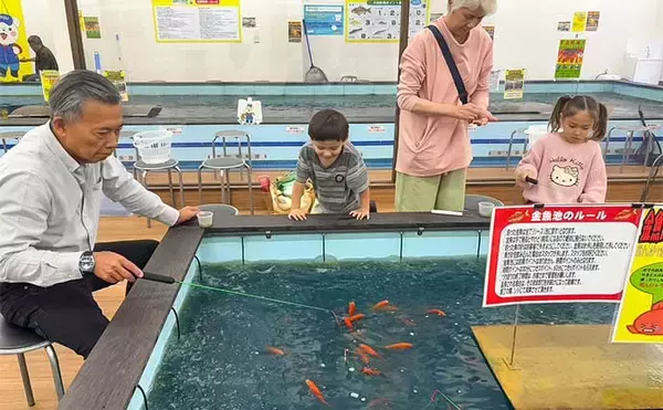「釣り堀・遊でキンギョ釣りを満喫【愛知】3人の子どもが次々ヒットで大喜び」の画像