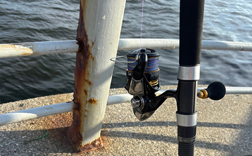 「入門費用はいくら？」大人気の釣り『ライトショアジギング（LSJ）』を始めよう