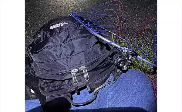 「「入門費用はいくら？」大人気の釣り『ライトショアジギング（LSJ）』を始めよう」の画像