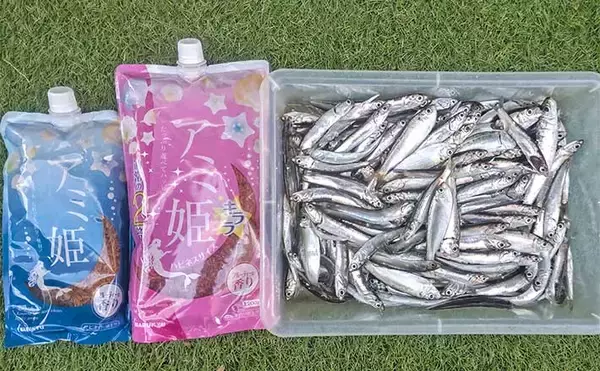 検見川浜突堤のサビキ釣りでカタクチイワシ100尾超え！【千葉】サッパやマイワシもヒット