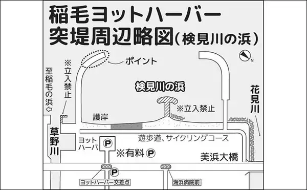 「検見川浜突堤のサビキ釣りでカタクチイワシ100尾超え！【千葉】サッパやマイワシもヒット」の画像