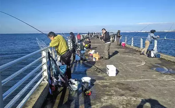 「検見川浜突堤のサビキ釣りでカタクチイワシ100尾超え！【千葉】サッパやマイワシもヒット」の画像