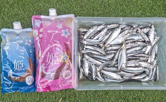 検見川浜突堤のサビキ釣りでカタクチイワシ100尾超え！【千葉】サッパやマイワシもヒット