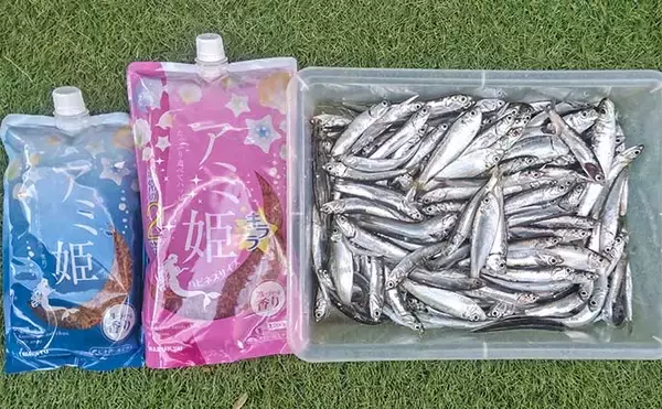 「検見川浜突堤のサビキ釣りでカタクチイワシ100尾超え！【千葉】サッパやマイワシもヒット」の画像