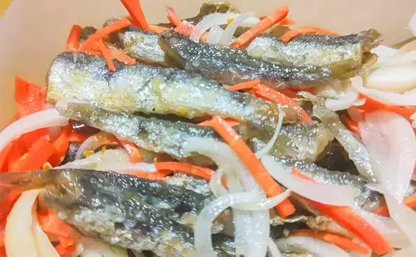 「検見川浜突堤のサビキ釣りでカタクチイワシ100尾超え！【千葉】サッパやマイワシもヒット」の画像