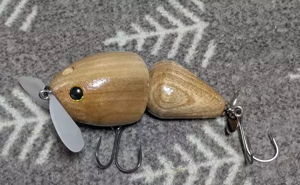 「「ナマズ釣りシーズンが開幕！」自作ルアーに豪快ヒットで大満足【和歌山】」の画像