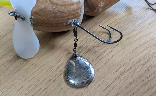 「「ナマズ釣りシーズンが開幕！」自作ルアーに豪快ヒットで大満足【和歌山】」の画像