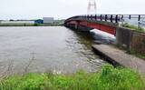「今週のヘラブナ「ピックアップ」釣り場2026【千葉県・与田浦】」の画像4