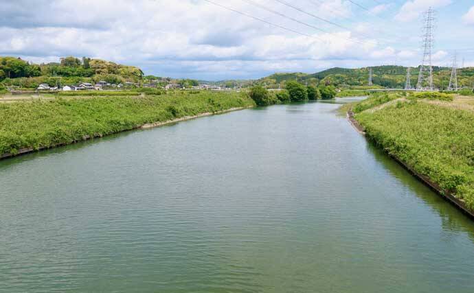 今週のヘラブナ「ピックアップ」釣り場2026【静岡・都田川】