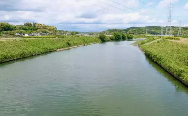 「今週のヘラブナ「ピックアップ」釣り場2026【静岡・都田川】」の画像