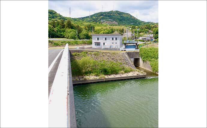 今週のヘラブナ「ピックアップ」釣り場2026【静岡・都田川】
