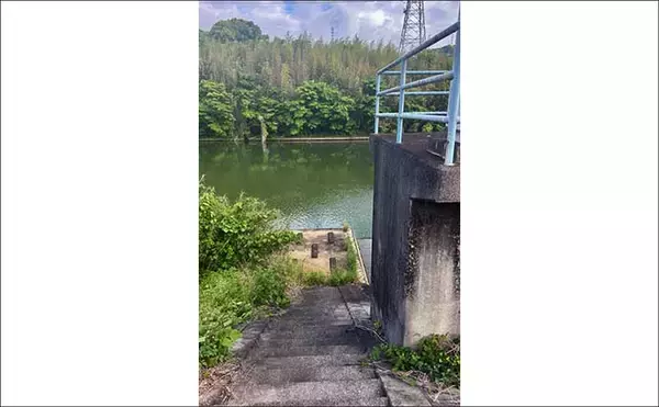 「今週のヘラブナ「ピックアップ」釣り場2026【静岡・都田川】」の画像