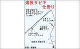 「波止の投げサビキ釣りでアジが入れ食い　ライトゲームではカマスも登場」の画像2