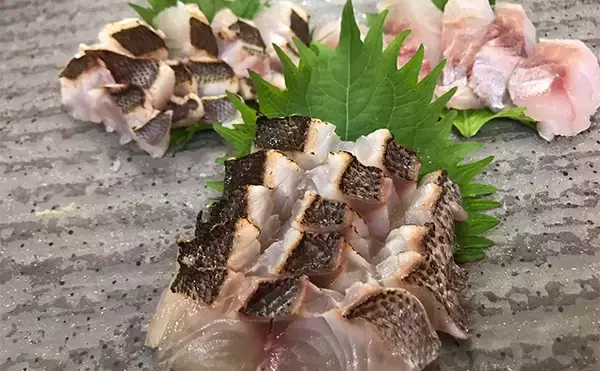 「上越沖では馴染みが薄いイサキ釣りに挑戦【こうゆう丸】絶品の梅雨イサキで好土産に」の画像