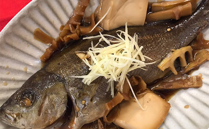 上越沖では馴染みが薄いイサキ釣りに挑戦【こうゆう丸】絶品の梅雨イサキで好土産に