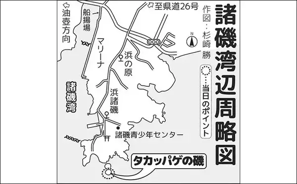 「諸磯フカセ釣りで良型メジナ好反応！　当日最大37cmを手中【神奈川・三浦半島】」の画像