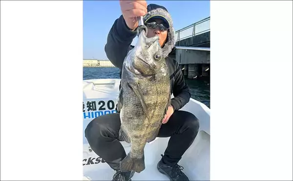「【沖のルアー釣果速報】9kg超ブリ筆頭に青物40匹超え！ジギングで大爆釣（愛知）」の画像