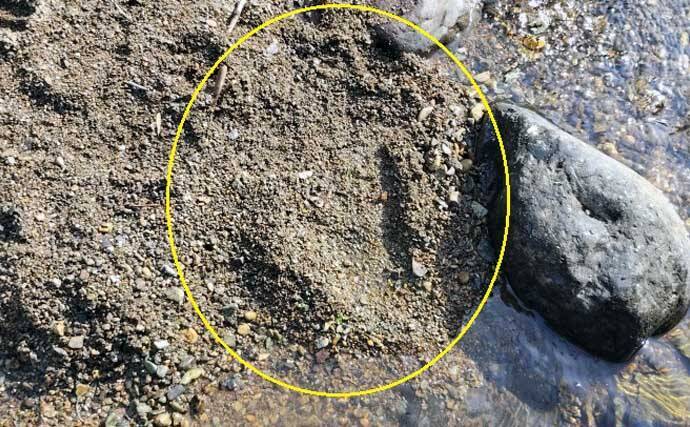 渓流エサ釣りの「難しい」ところ 【環境・道具の選択・釣り場での対応】