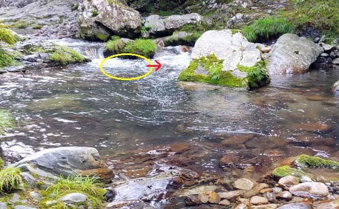 渓流エサ釣りの「難しい」ところ 【環境・道具の選択・釣り場での対応】