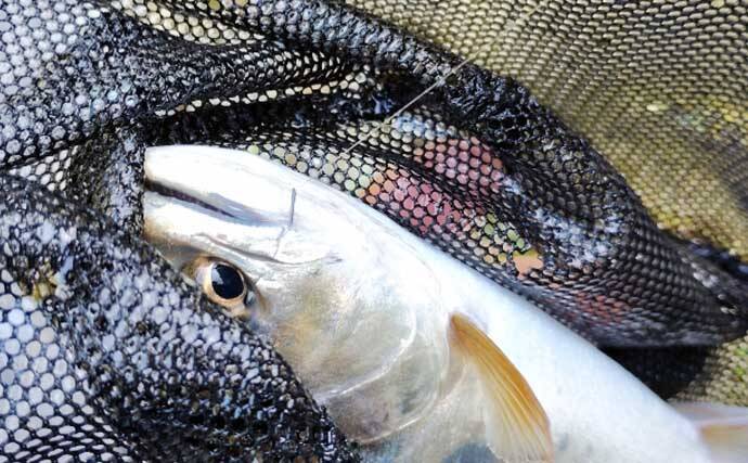 渓流エサ釣りの「難しい」ところ 【環境・道具の選択・釣り場での対応】