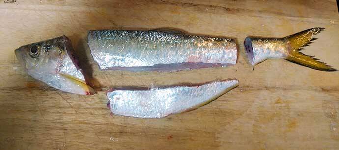 釣り人的 裏ワザ レシピ ヒラの塩焼き 骨切りでタチウオみたいに 22年4月5日 エキサイトニュース