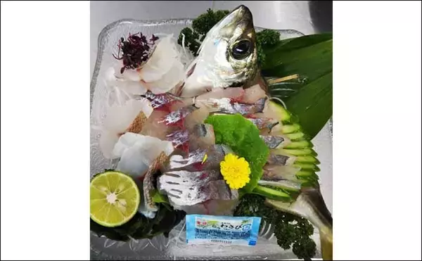 「釣り人的【マアジの雑学】　回遊型と地着き型は見た目にも異なる？」の画像