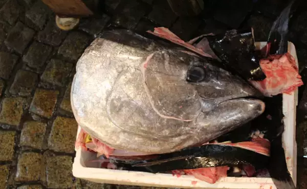 「『おしつけのこわた』は魚モツ界最強の存在　魚なのに「豚ホルモン」の味？」の画像