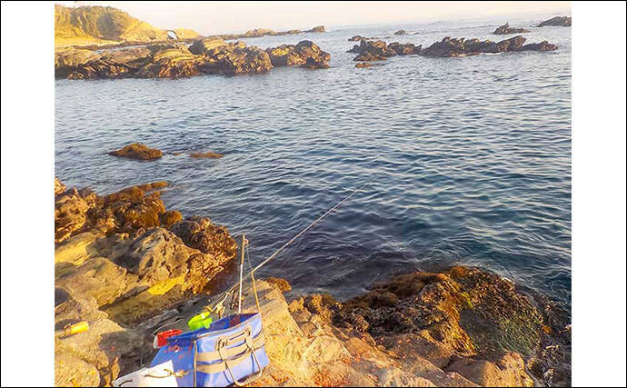 神奈川の地磯で冬のフカセ釣りを満喫【城ヶ島】35cm超えのメジナを連打