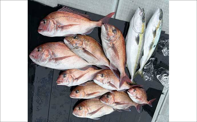 【沖釣り釣果速報】完全フカセ＆タイラバでマダイ好調！ジギングではヒラマサ・ブリが続々（福井）