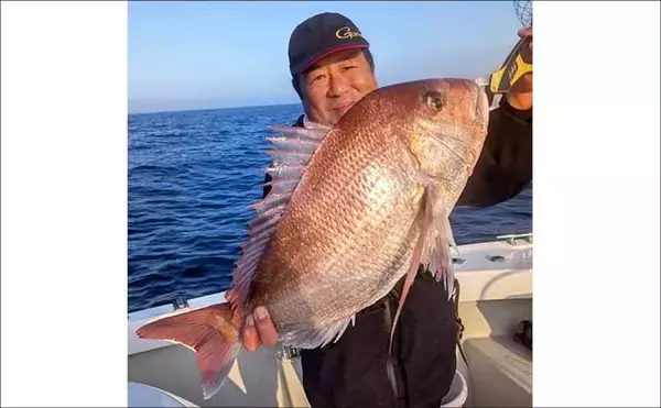 「【沖釣り釣果速報】完全フカセ＆タイラバでマダイ好調！ジギングではヒラマサ・ブリが続々（福井）」の画像