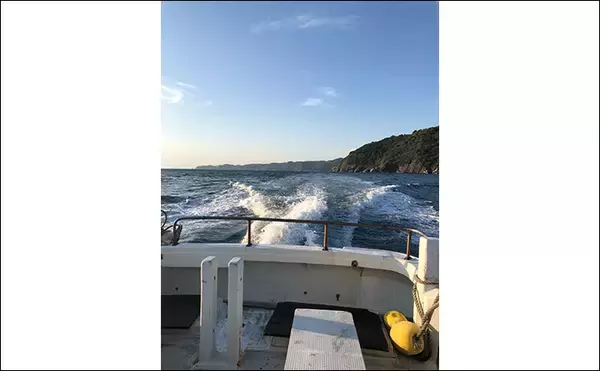 「「秋磯の海中はまだまだ冬遠し？」磯フカセ釣りでアイゴの邪魔をかわして30cm級グレを拾い釣り」の画像