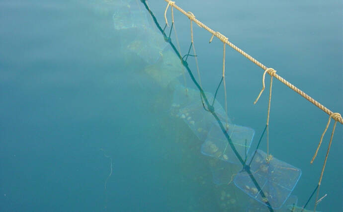 国内ホタテ産業の本当のリスクは中国ではなかった？　脱中国依存が加速か