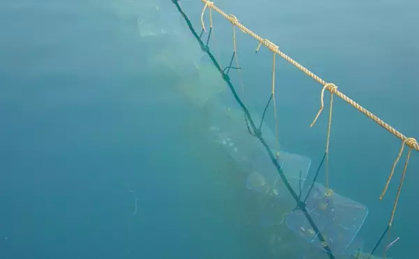 「国内ホタテ産業の本当のリスクは中国ではなかった？　脱中国依存が加速か」の画像