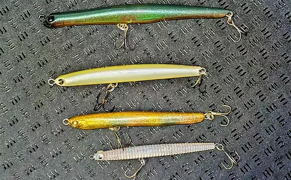 「「冬の河川が熱すぎる！」80cm級大型シーバスが連発【養老川】 想定外のマゴチも登場」の画像